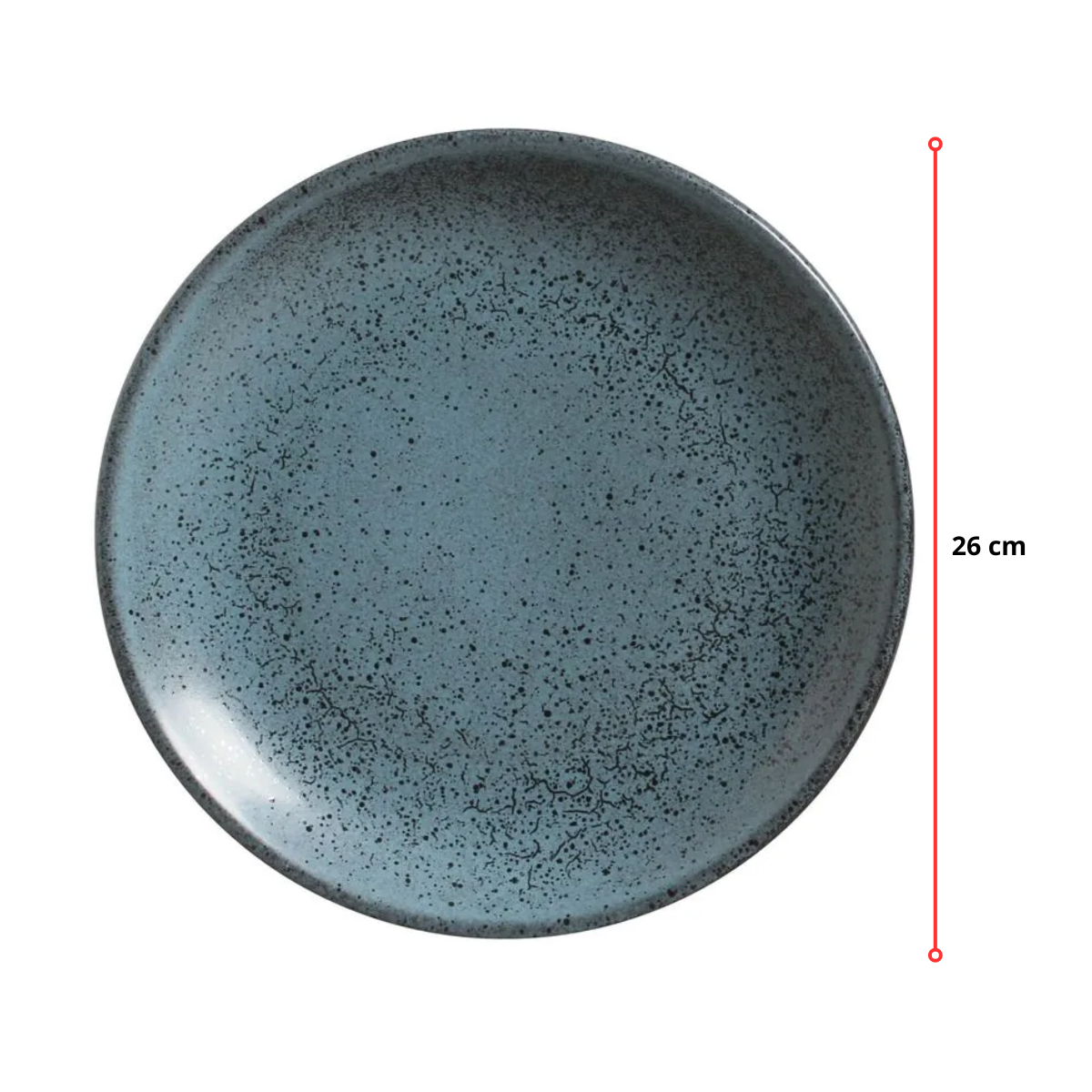 PRATO RASO COUP STONEWARE HOTELARIA NIGHT SKY  - 26 CM